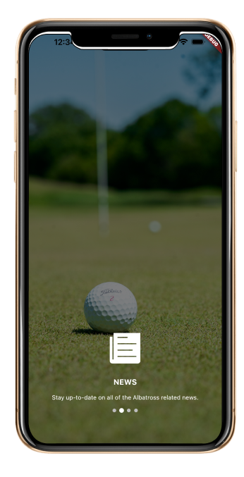 News App Preview