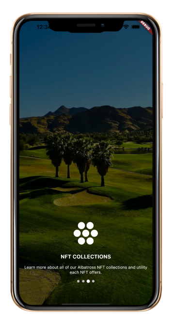 NFT Collection App Preview