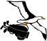 bird logo